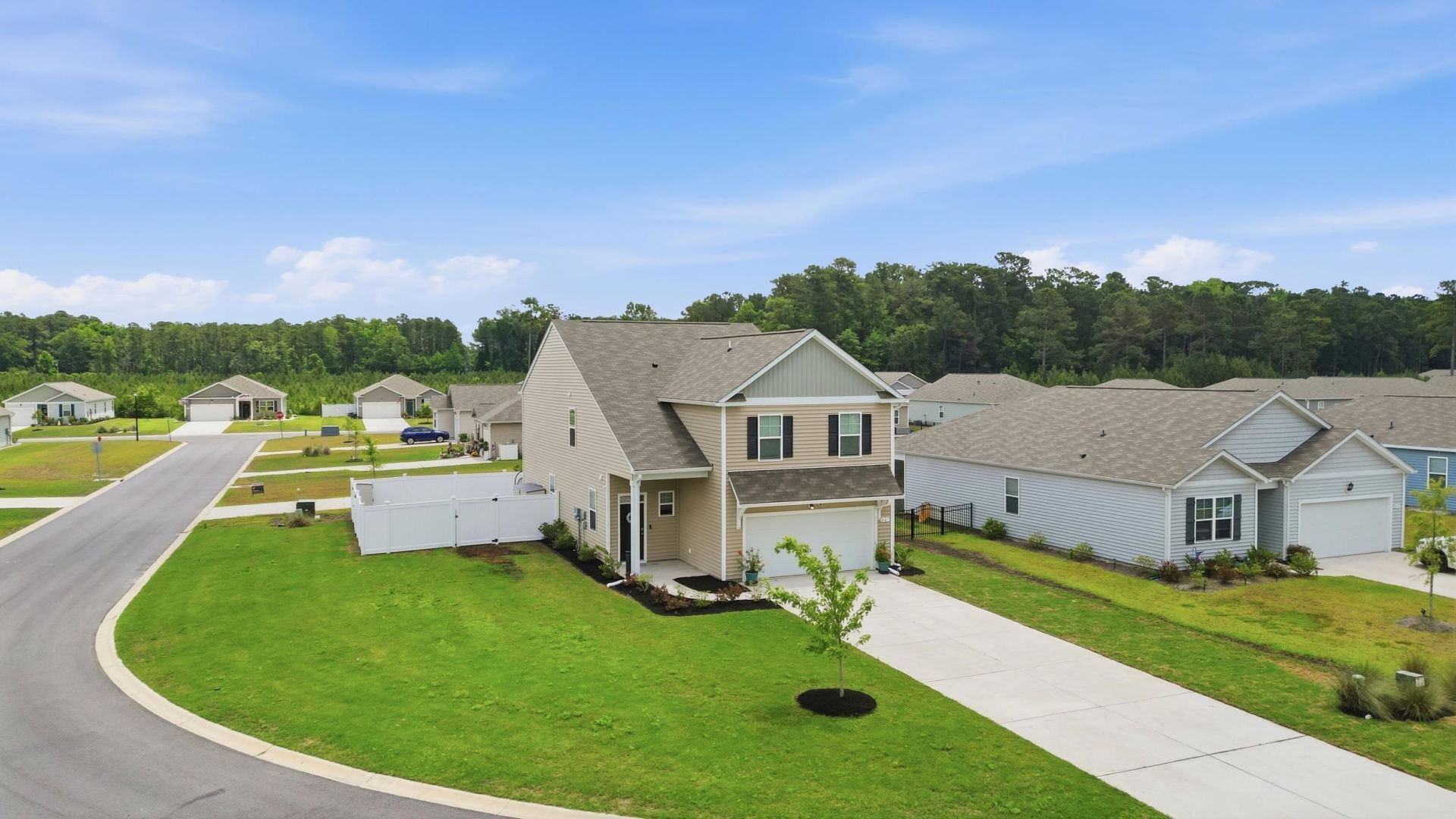 427 Samara Dr. Photo 5
