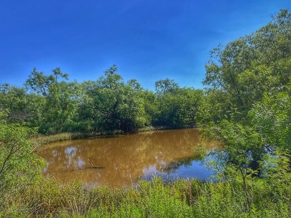 1363 County Road 441 , Sweetwater, TX 79556