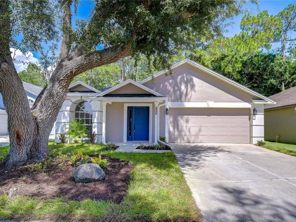 8545 MANASSAS ROAD , TAMPA, FL 33635