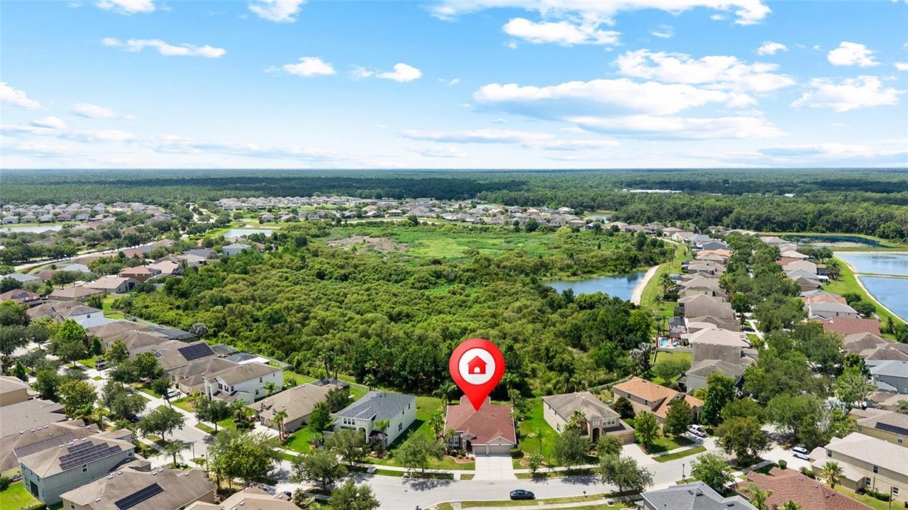 10839 Breaking Rocks Drive , Tampa, FL 33647 Photo