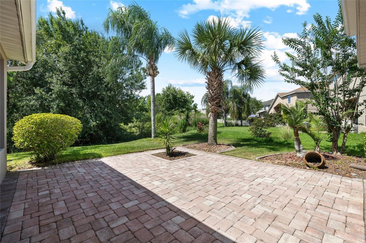 10839 Breaking Rocks Drive , Tampa, FL 33647 Photo