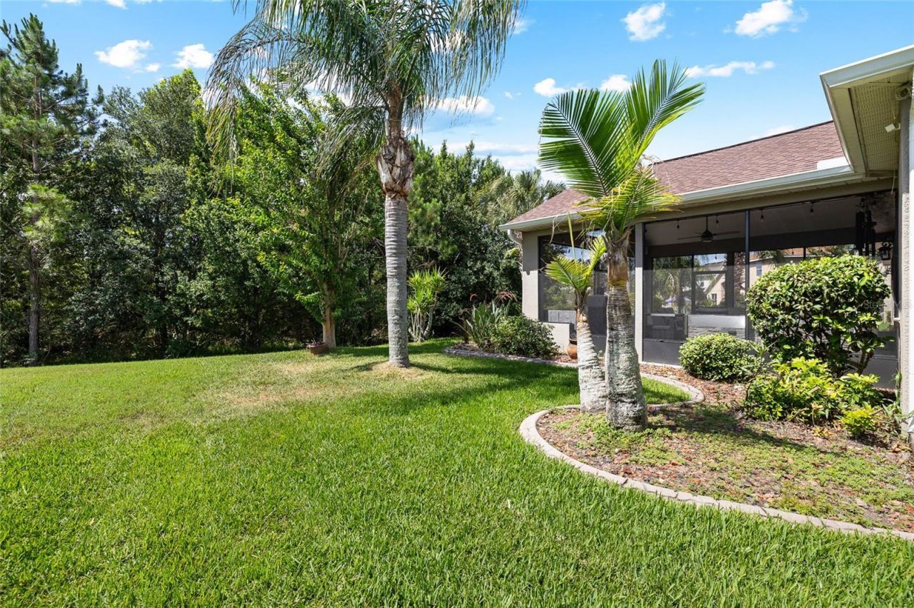 10839 Breaking Rocks Drive , Tampa, FL 33647 Photo
