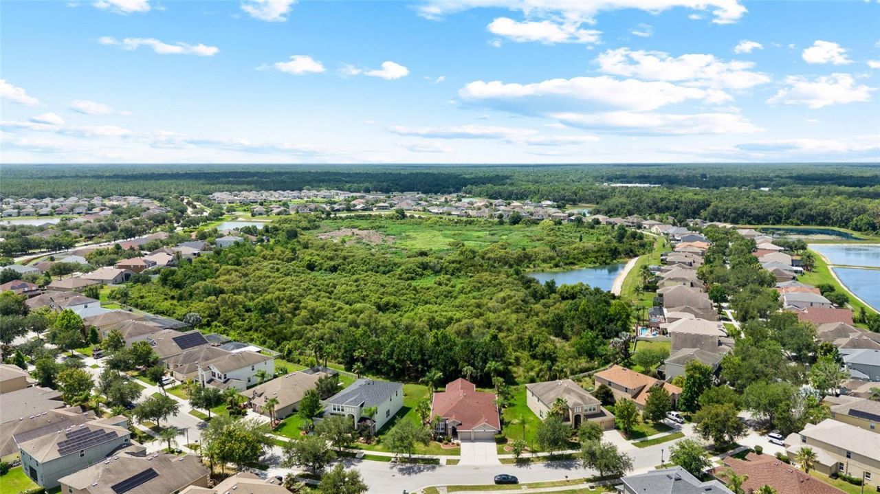 10839 Breaking Rocks Drive , Tampa, FL 33647 Photo