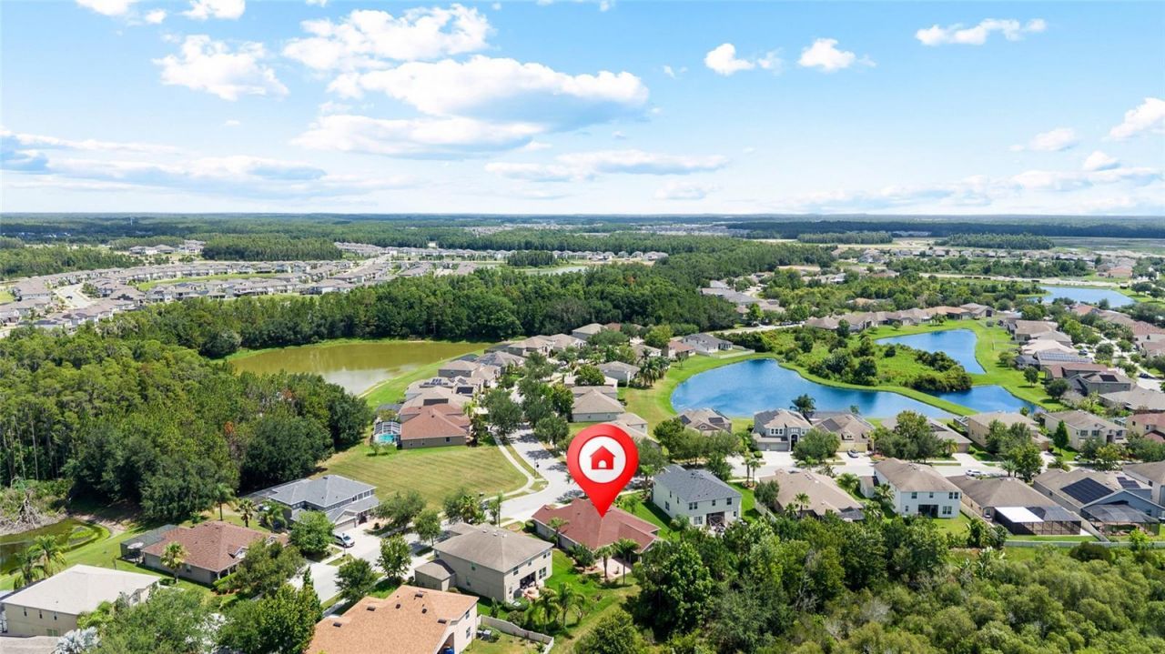 10839 Breaking Rocks Drive , Tampa, FL 33647 Photo