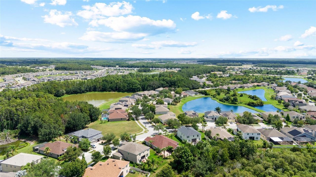 10839 Breaking Rocks Drive , Tampa, FL 33647 Photo