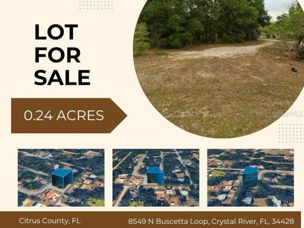 8549 N BUSCETTA LOOP , CRYSTAL RIVER, FL 34428