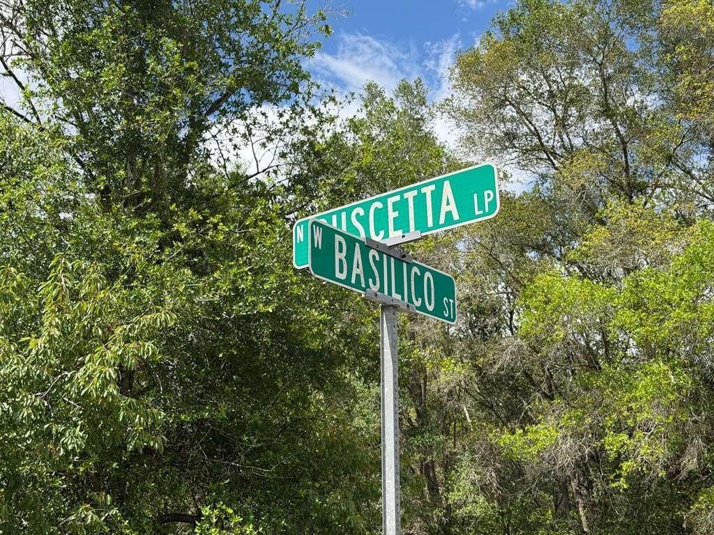 8549 N Buscetta Loop , Crystal River, FL 34428 Photo