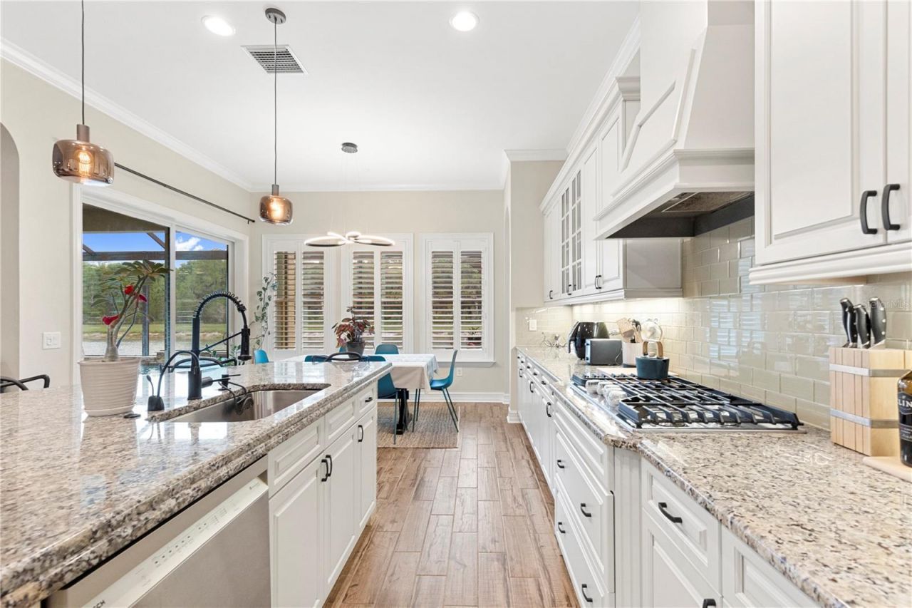 28715 Corbara Place, Wesley Chapel, FL 33543 Photo