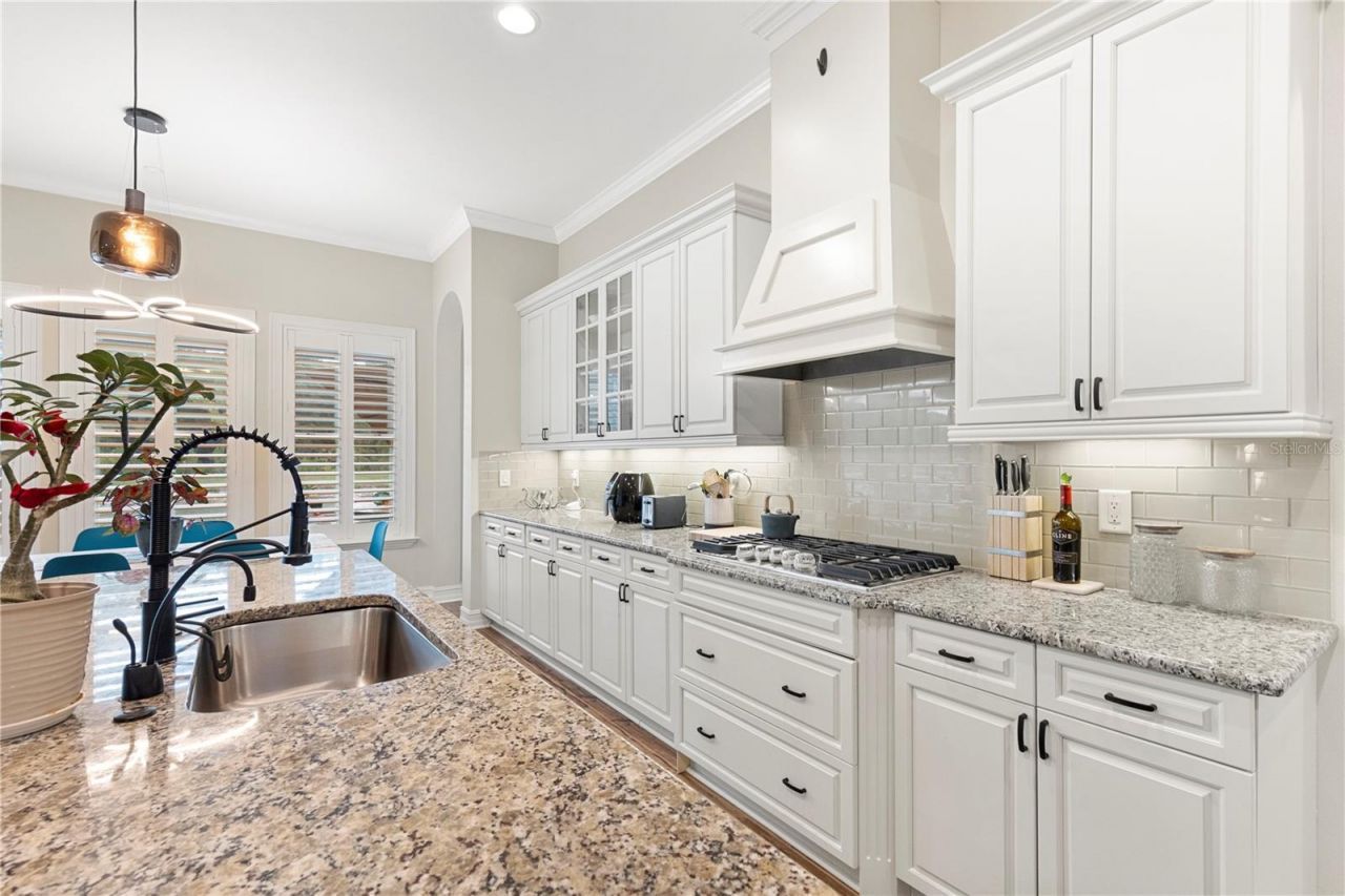 28715 Corbara Place, Wesley Chapel, FL 33543 Photo
