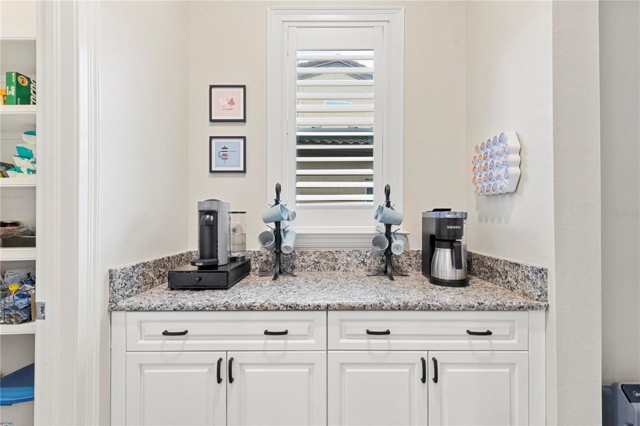 28715 Corbara Place, Wesley Chapel, FL 33543 Photo