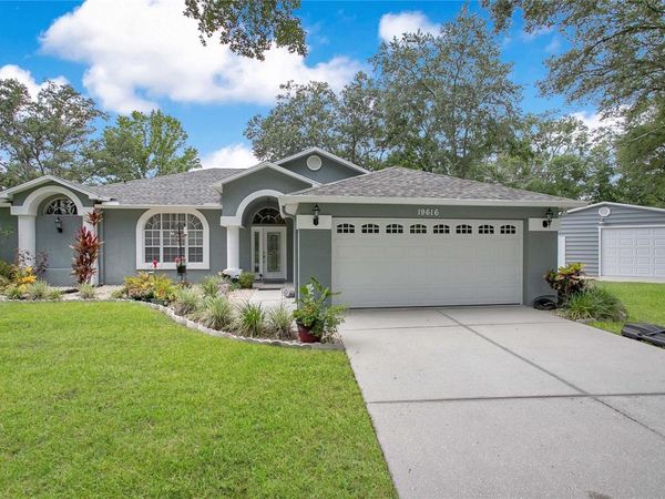 19616 LIVINGSTON AVENUE , LUTZ, FL 33559