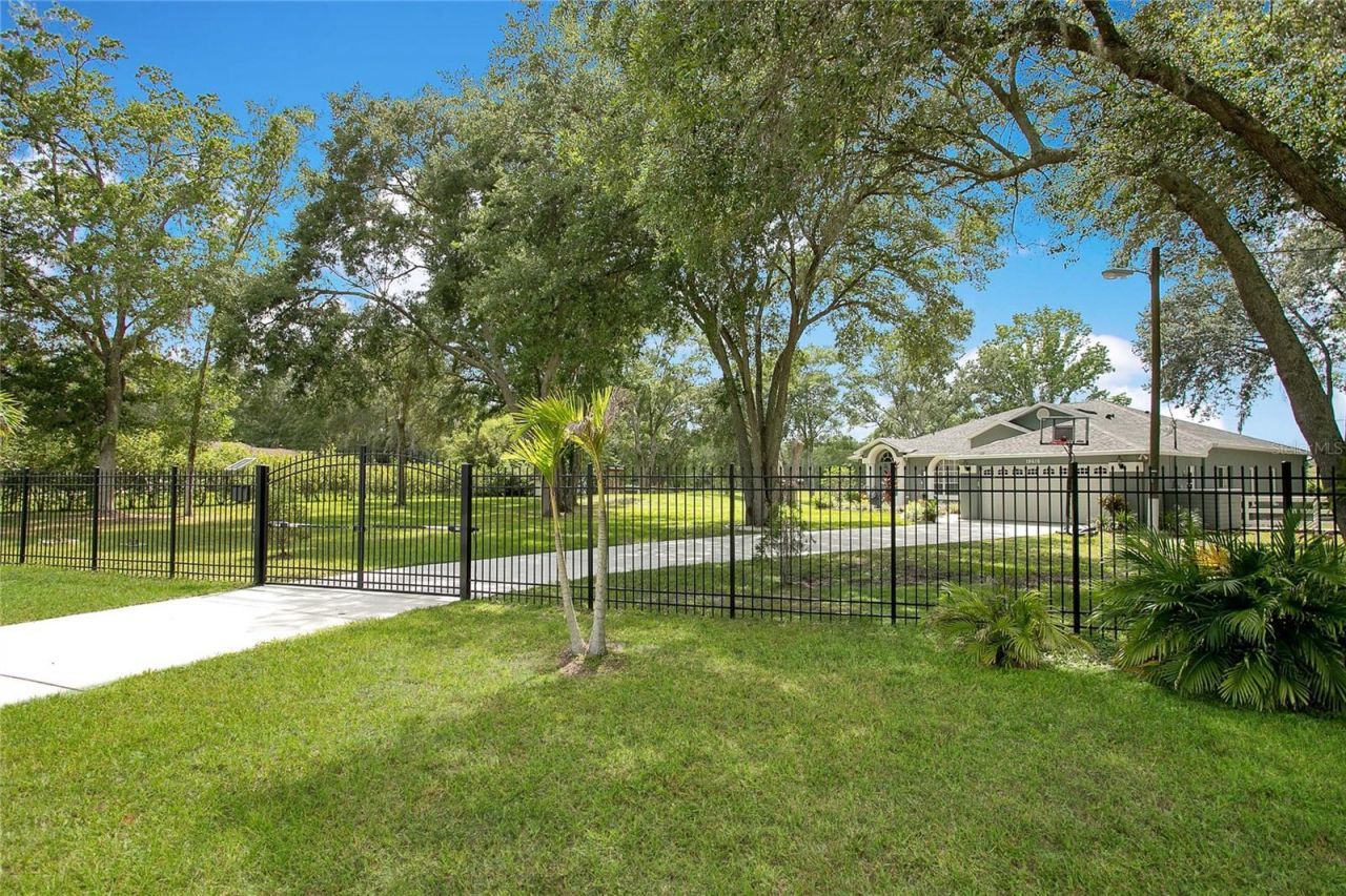 19616 Livingston Avenue, Lutz, FL 33559 Photo