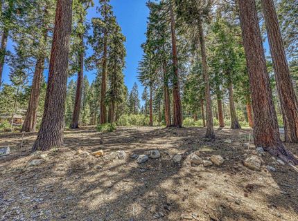 7069 Wilson Avenue, Tahoma, CA 96141 Photo