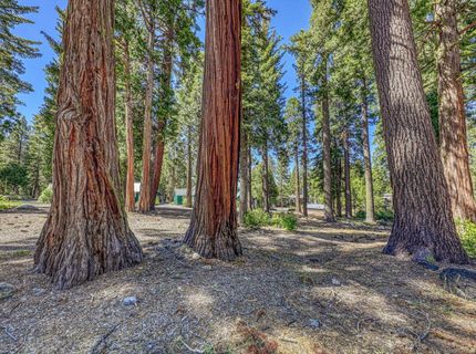 7069 Wilson Avenue, Tahoma, CA 96141 Photo