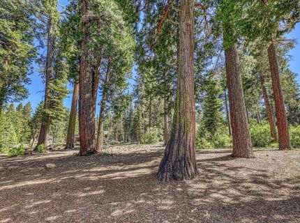 7069 Wilson Avenue, Tahoma, CA 96141 Photo