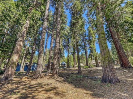 7069 Wilson Avenue, Tahoma, CA 96141 Photo