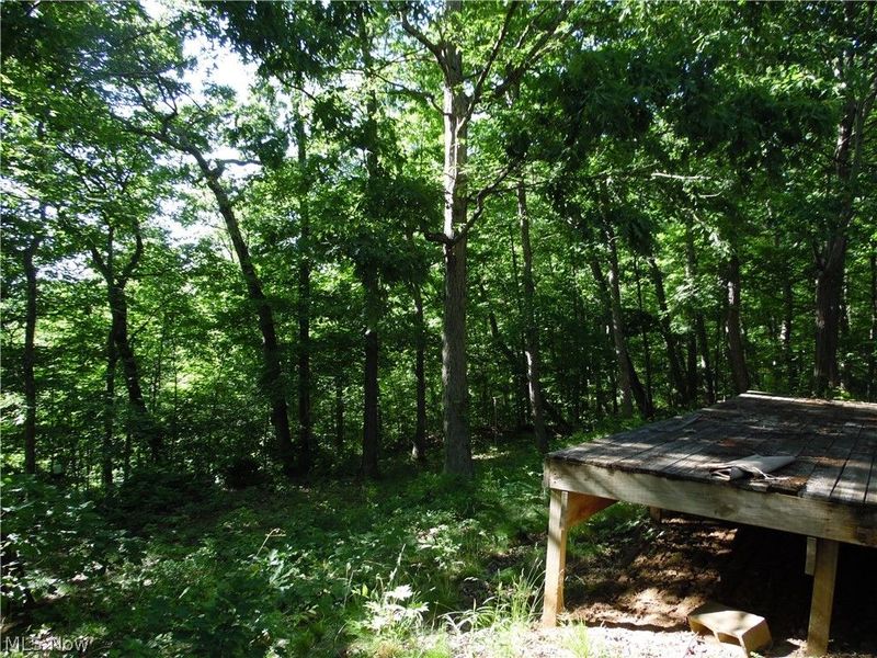 280 Linton Hill Road, Coolville, OH 45723 Photo 6