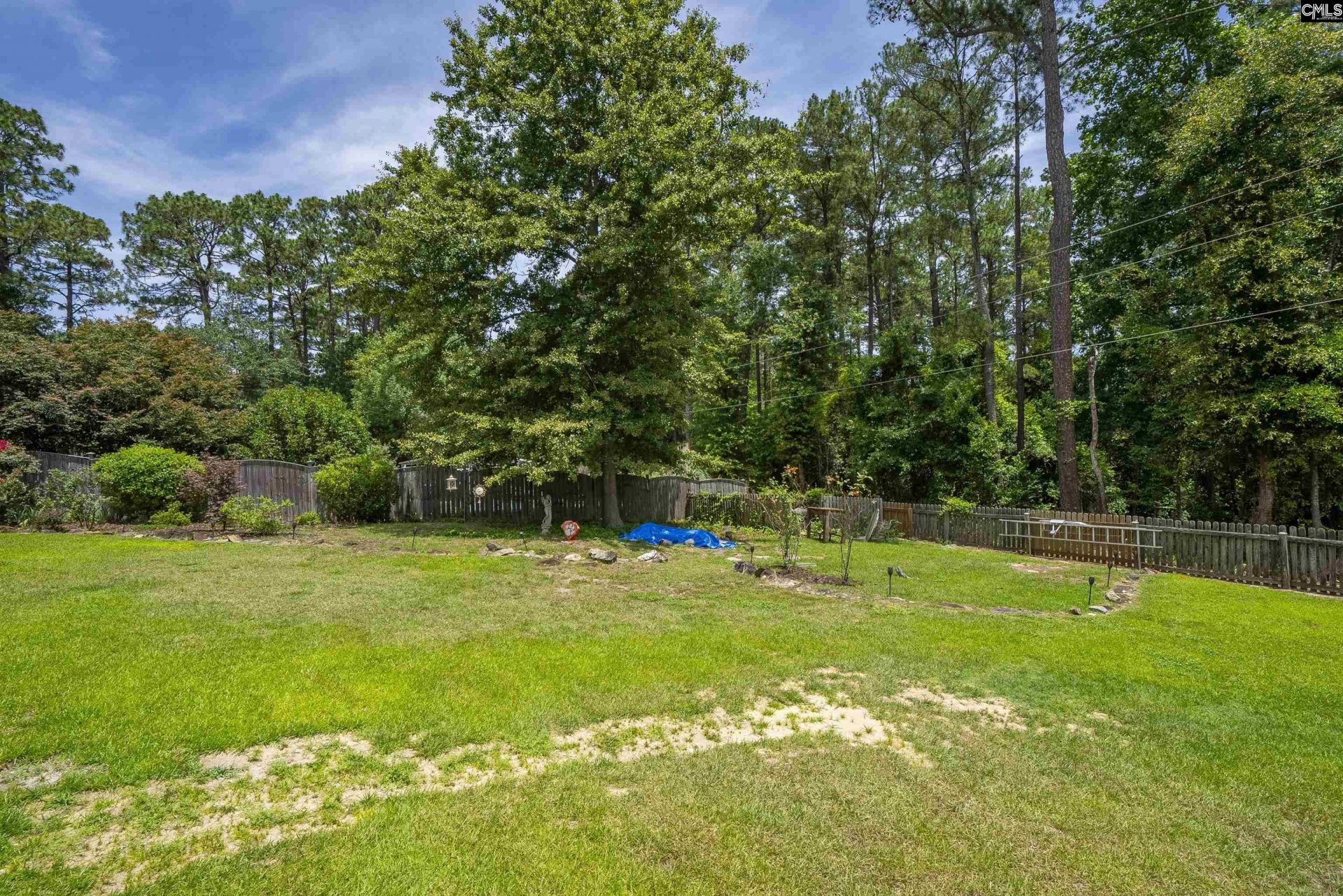 132 Platinum Drive Photo 61