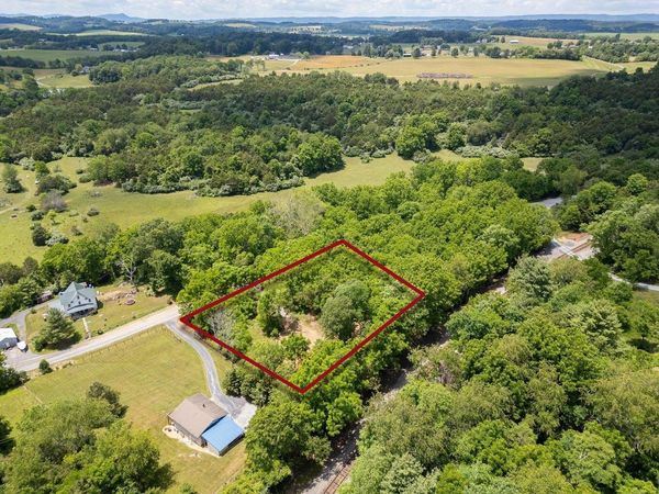 456 DABNEYS RD, RAPHINE, VA 24472