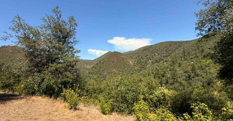 4441 Mountain Ranch Rd, San Andreas, CA 95249 Photo