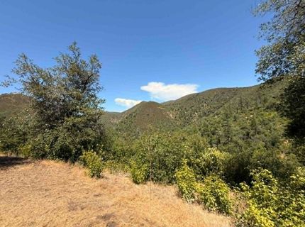 4441 Mountain Ranch Rd, San Andreas, CA 95249 Photo