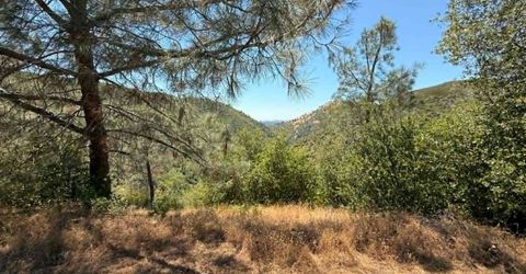 4441 Mountain Ranch Rd, San Andreas, CA 95249 Photo