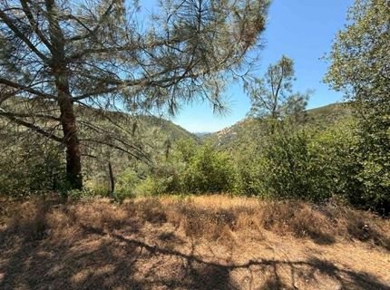 4441 Mountain Ranch Rd, San Andreas, CA 95249 Photo