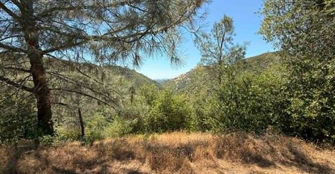 4441 Mountain Ranch Rd, San Andreas, CA 95249 Photo