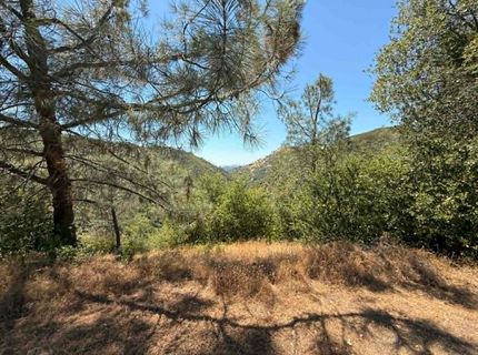 4441 Mountain Ranch Rd, San Andreas, CA 95249 Photo