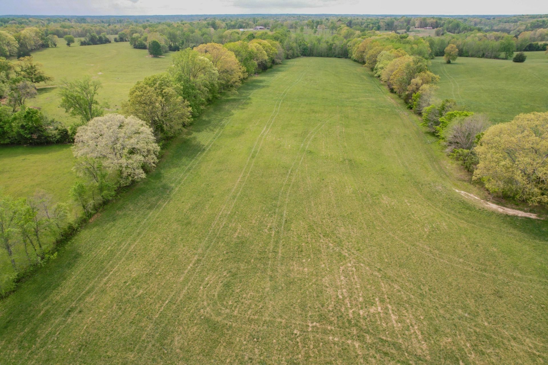 0 Puncheon Branch Rd , Minor Hill, TN 38473 Main Photo