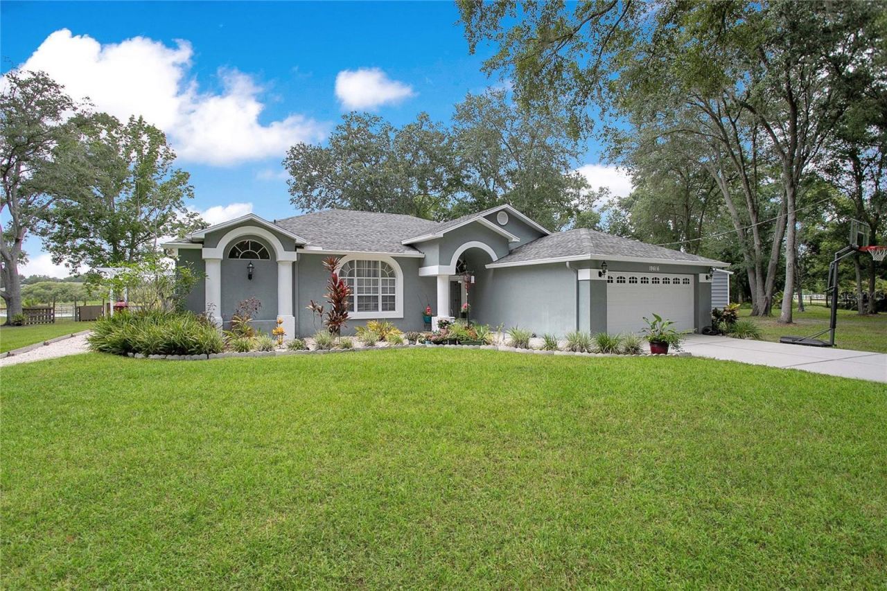 19616 Livingston Avenue , Lutz, FL 33559 Photo
