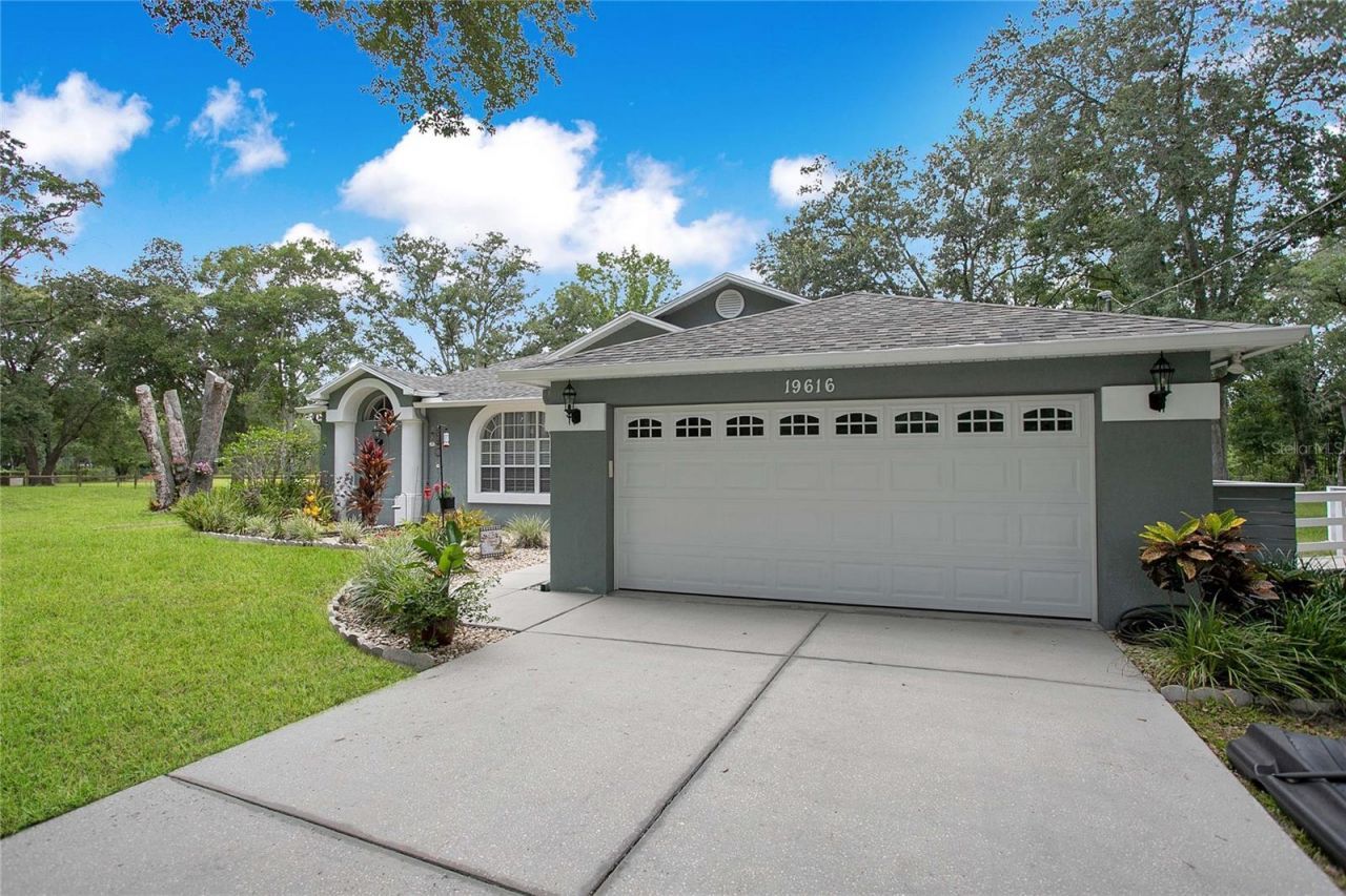 19616 Livingston Avenue , Lutz, FL 33559 Photo