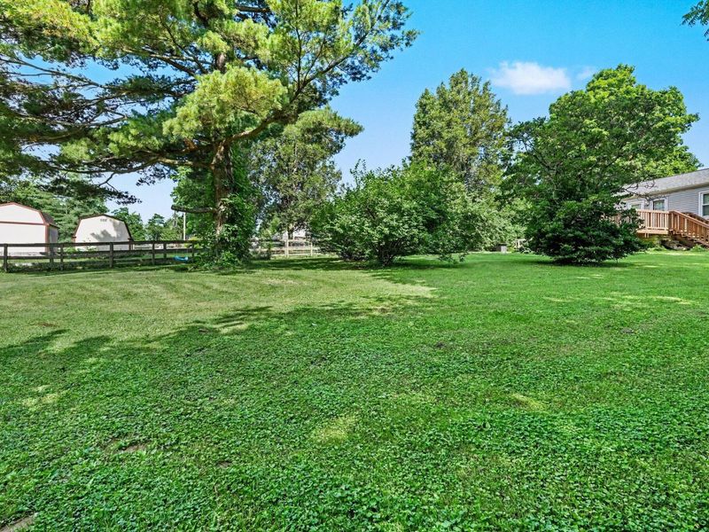 663 Sycamore Drive, Independence, KY 41051 Photo 13