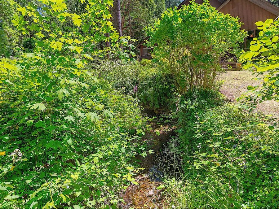 Property Image 55