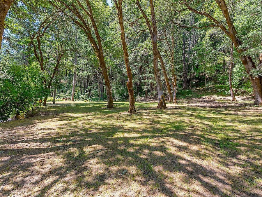 Property Image 60