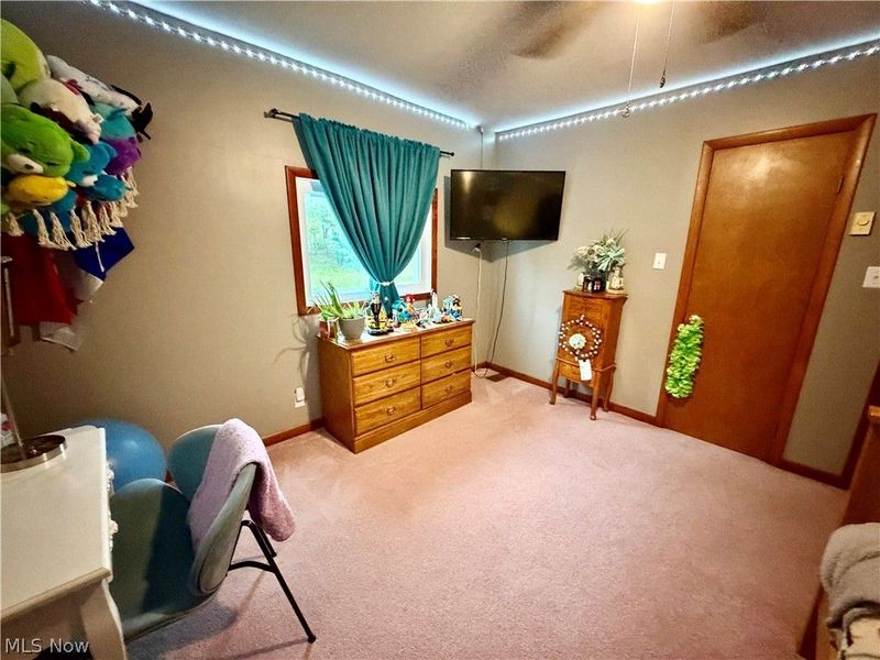 6852 Graham Road, Pierpont, OH 44082 Photo 24