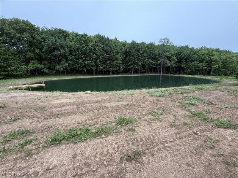 6852 Graham Road, Pierpont, OH 44082 Photo 31
