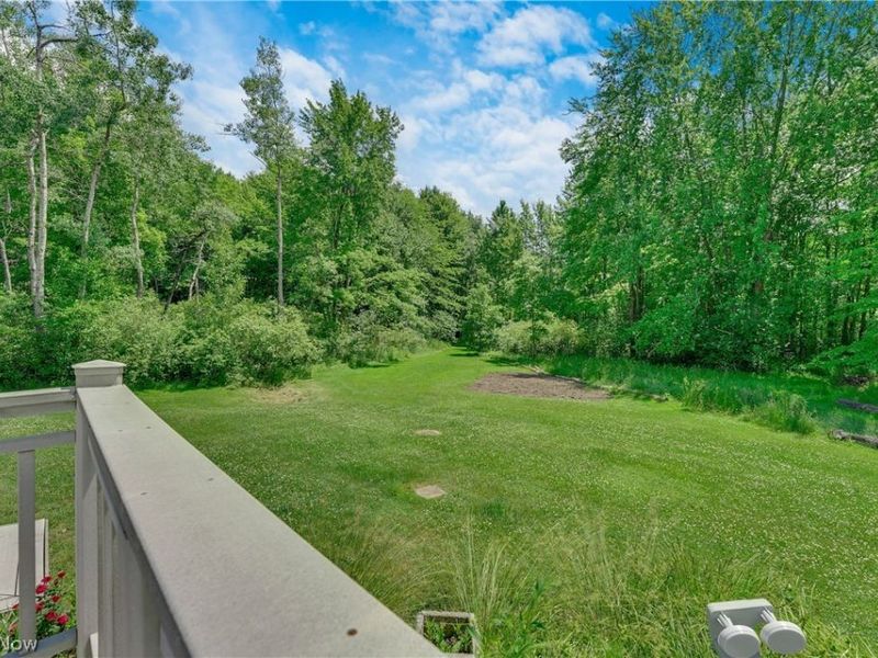 17800 Settlers Trail , Chagrin Falls, OH 44023 Photo 40