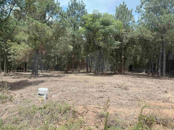 00 Toledo Road , Rison, AR 71665