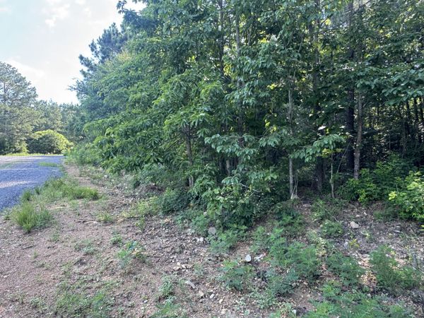 0 Rustic Pines Rd , Unit 11, Dover, TN 37058