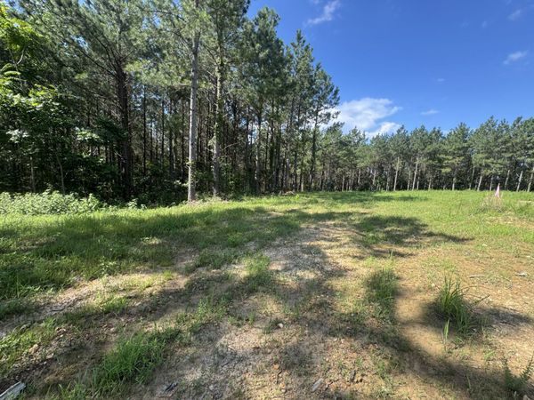 0 Rustic Pines Rd , Unit 15, Dover, TN 37058