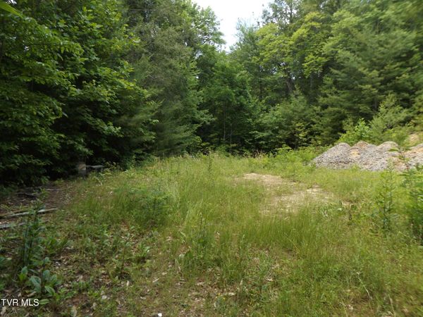 701 Heartwood Lane, Unit Lot 2, Butler, TN 37640