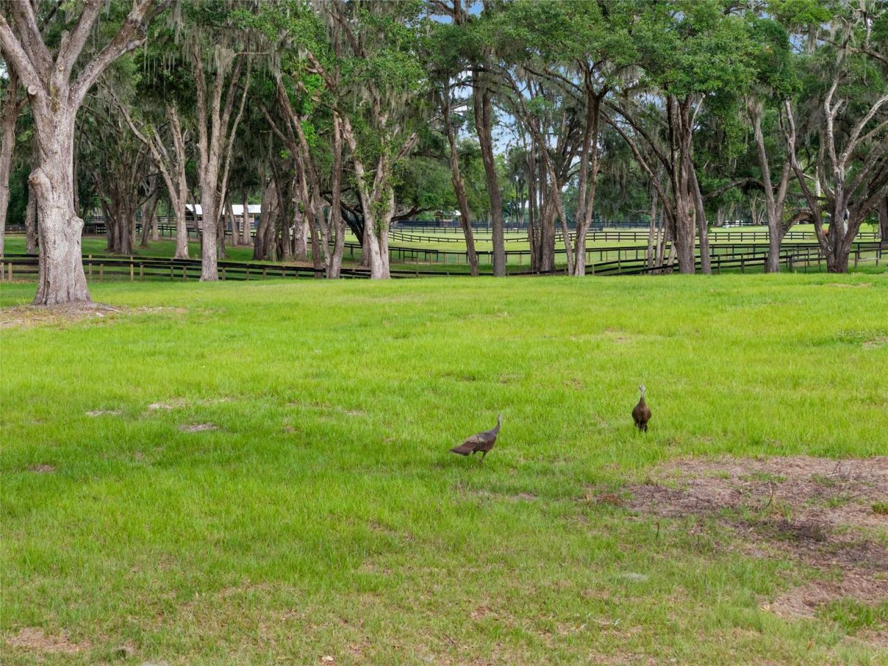 11140 NW 160th Avenue, Morriston, FL 32668 Photo