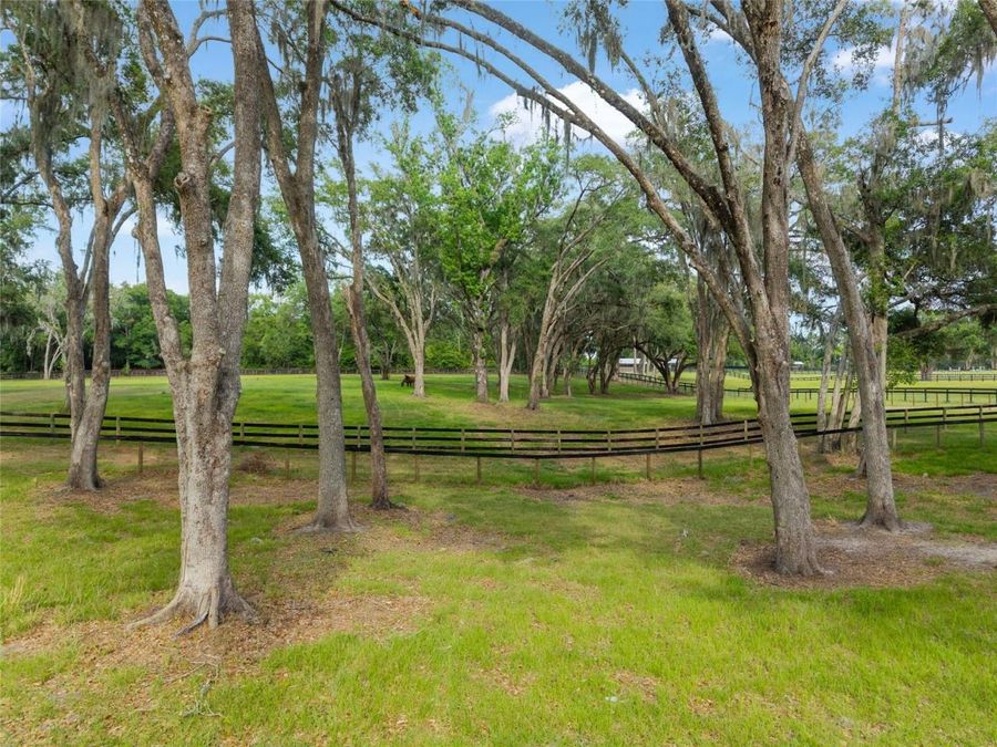 Property Image 85