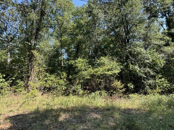 Lake Lurleen Rd, Coker, AL 35452