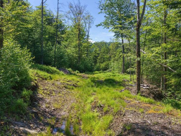 381 Whitaker Farm Road, Marlboro, VT 05344