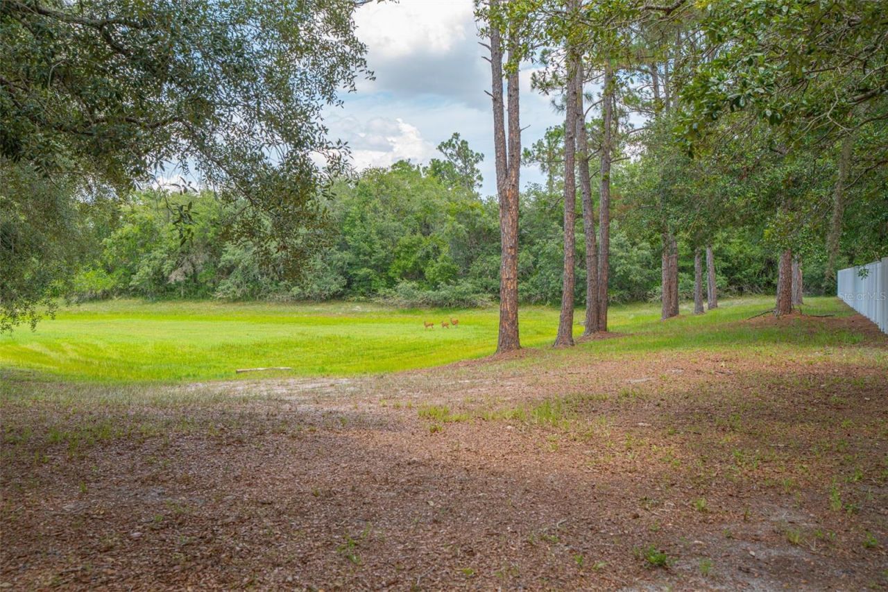 361 Lake Lenelle Drive, Chuluota, FL 32766 Photo