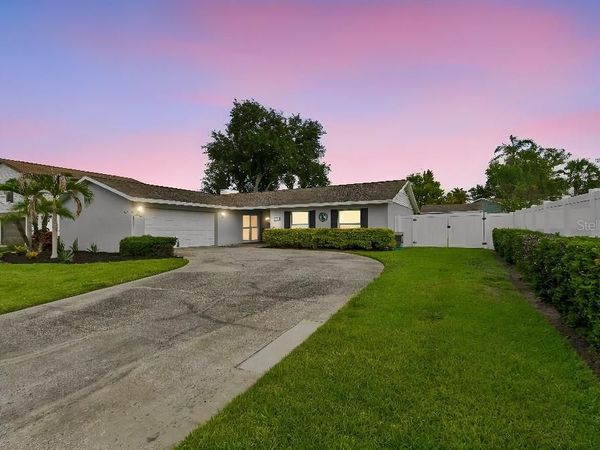 4009 MOUNTAIN SPRINGS LANE , TAMPA, FL 33624