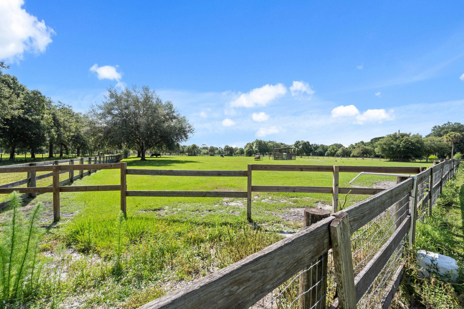 3851 SE 132nd Avenue, Okeechobee, FL 34974 Photo