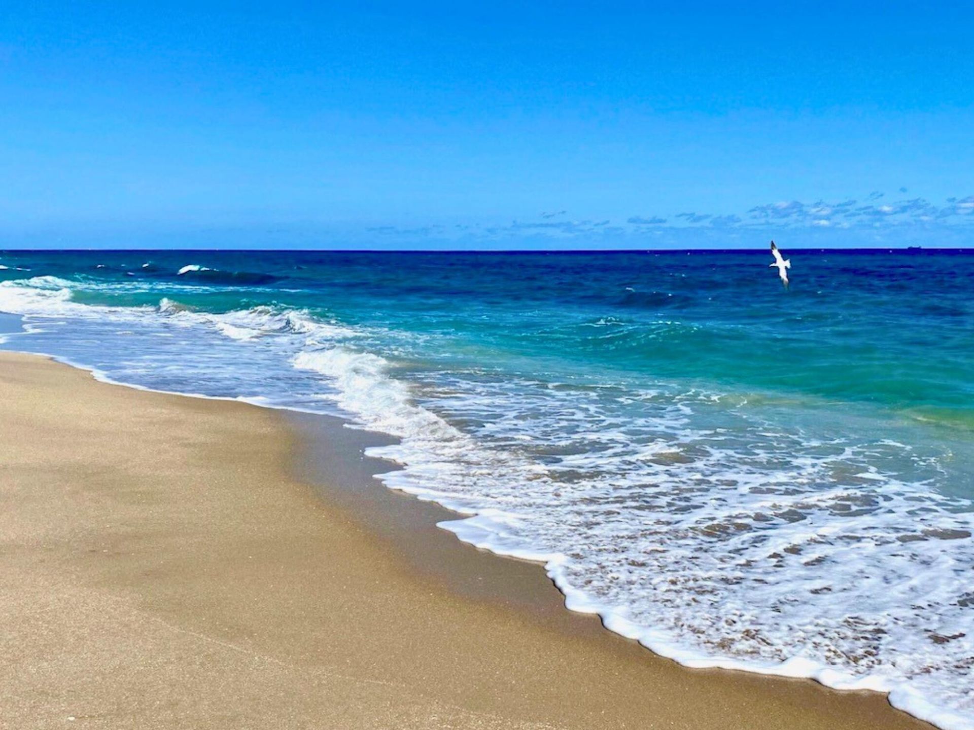 3605 S Ocean Boulevard, Unit 229, South Palm Beach, FL 33480 Photo